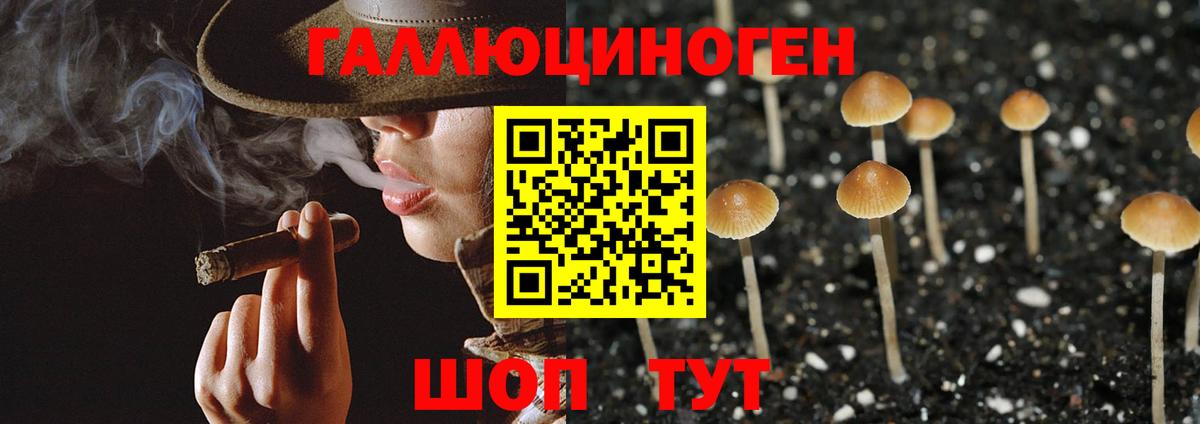 Псилоцибиновые грибы мицелий  Псилоцибиновые грибы GOLDEN TEACHER  Вход с VPN  Ртищево 